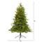 5ft. Pre-Lit Colorado Mountain Fir Artificial Christmas Tree, Clear LED Lights